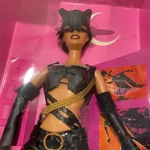 Barbie Toys Barbie Cat Woman Hallie Barry Poshmark